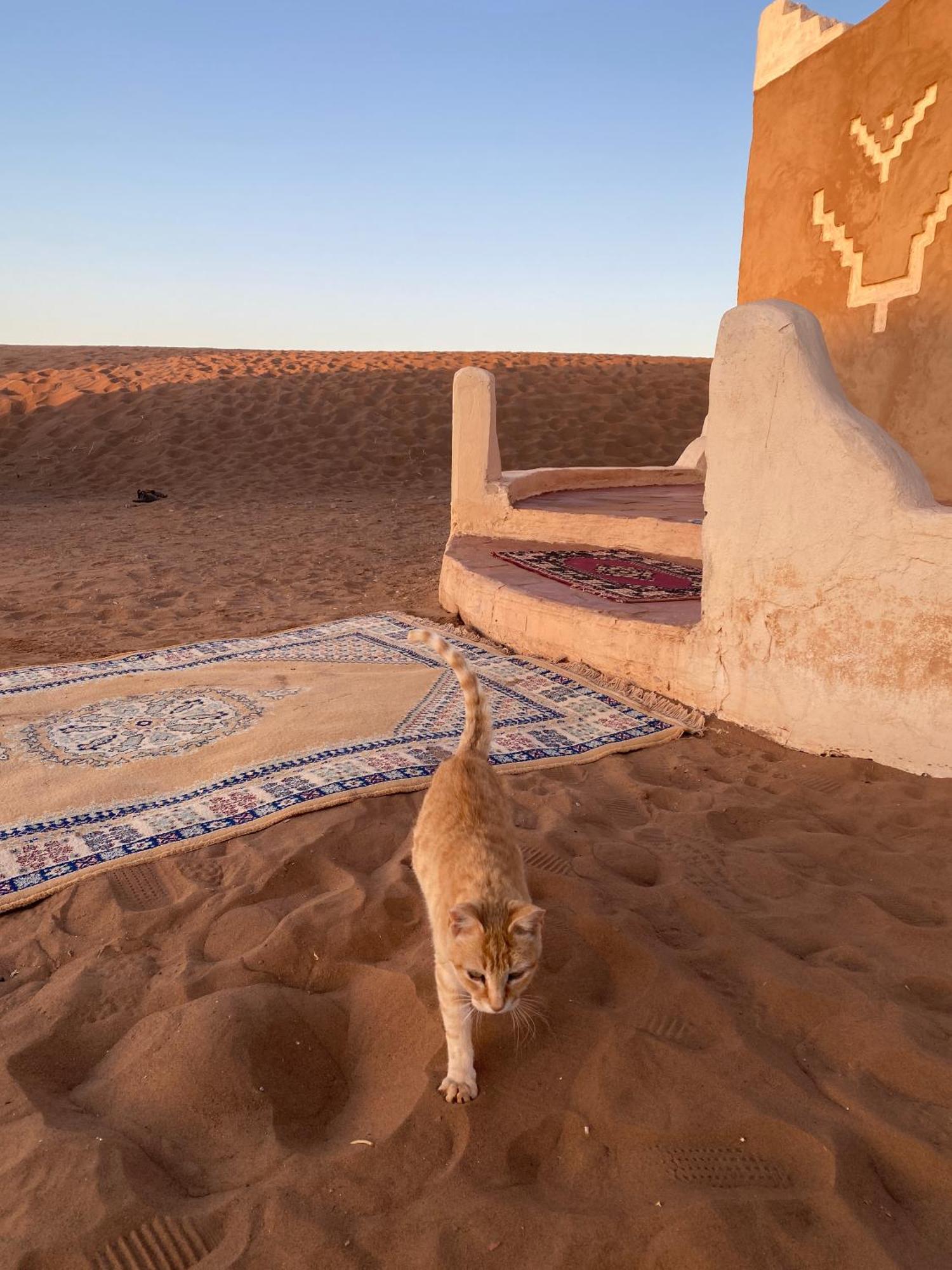 Отель Bivouac Erg Chegaga Nomademoi El Gouera Экстерьер фото